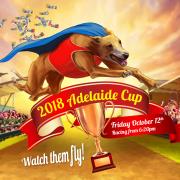 2018 Adelaide Cup - Preview